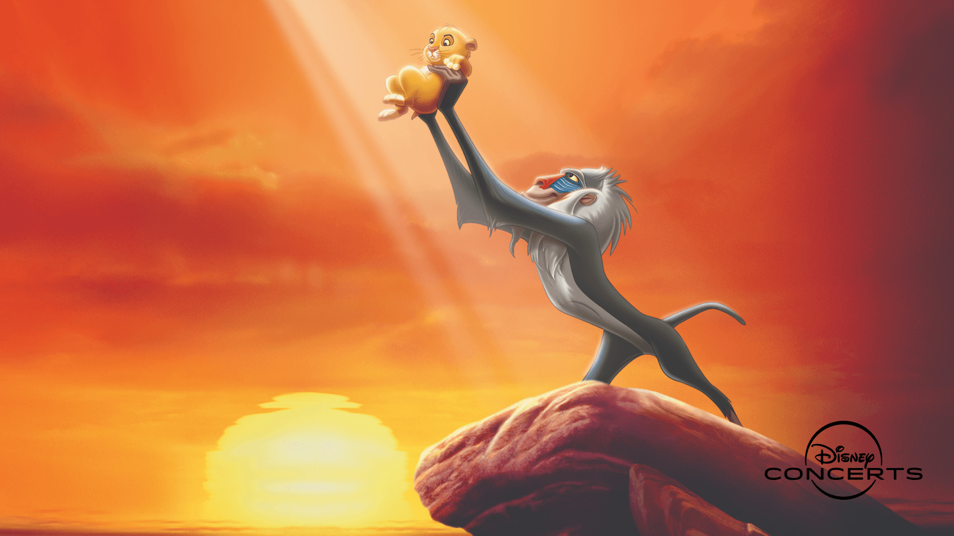 Lion King bíótónleikar - Sinfóníuhljómsveit Íslands