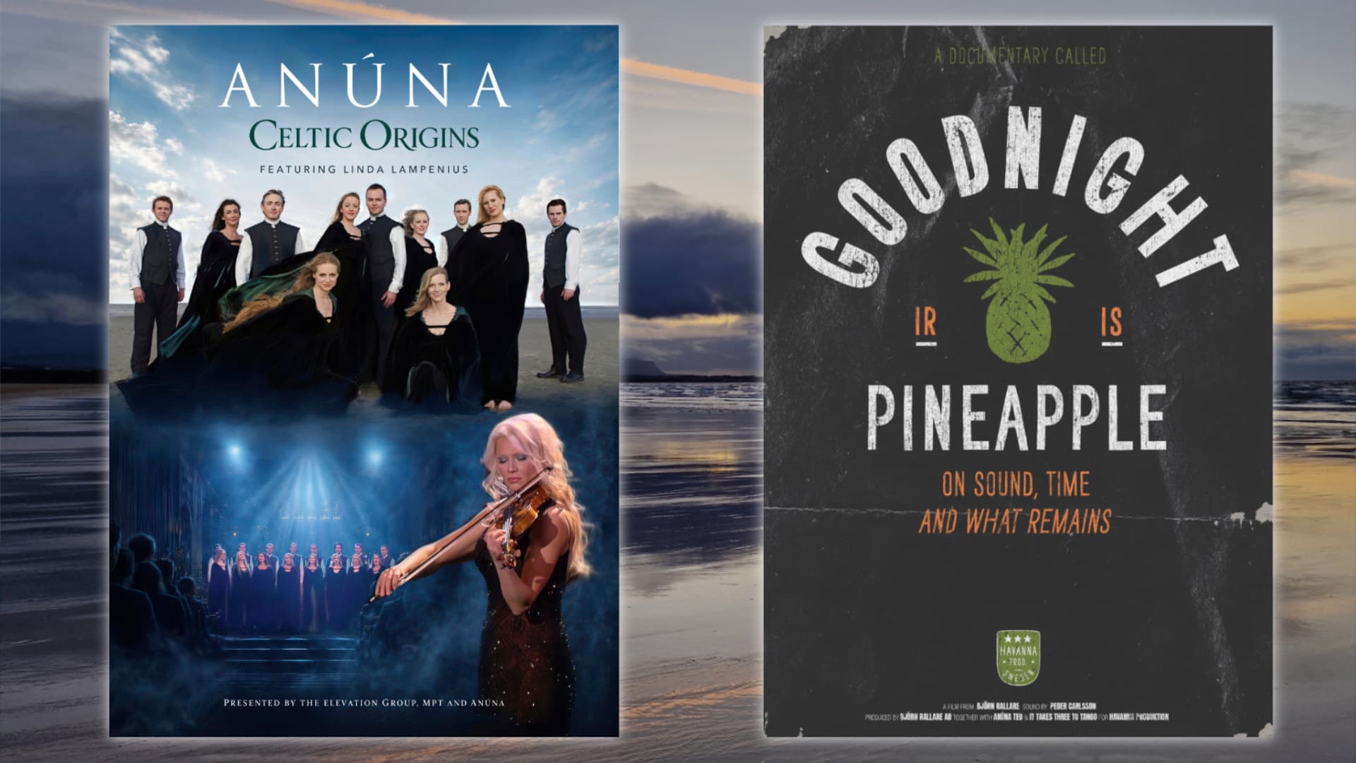 ANÚNA: Celtic Origins & Goodnight Pineapple (free film event)