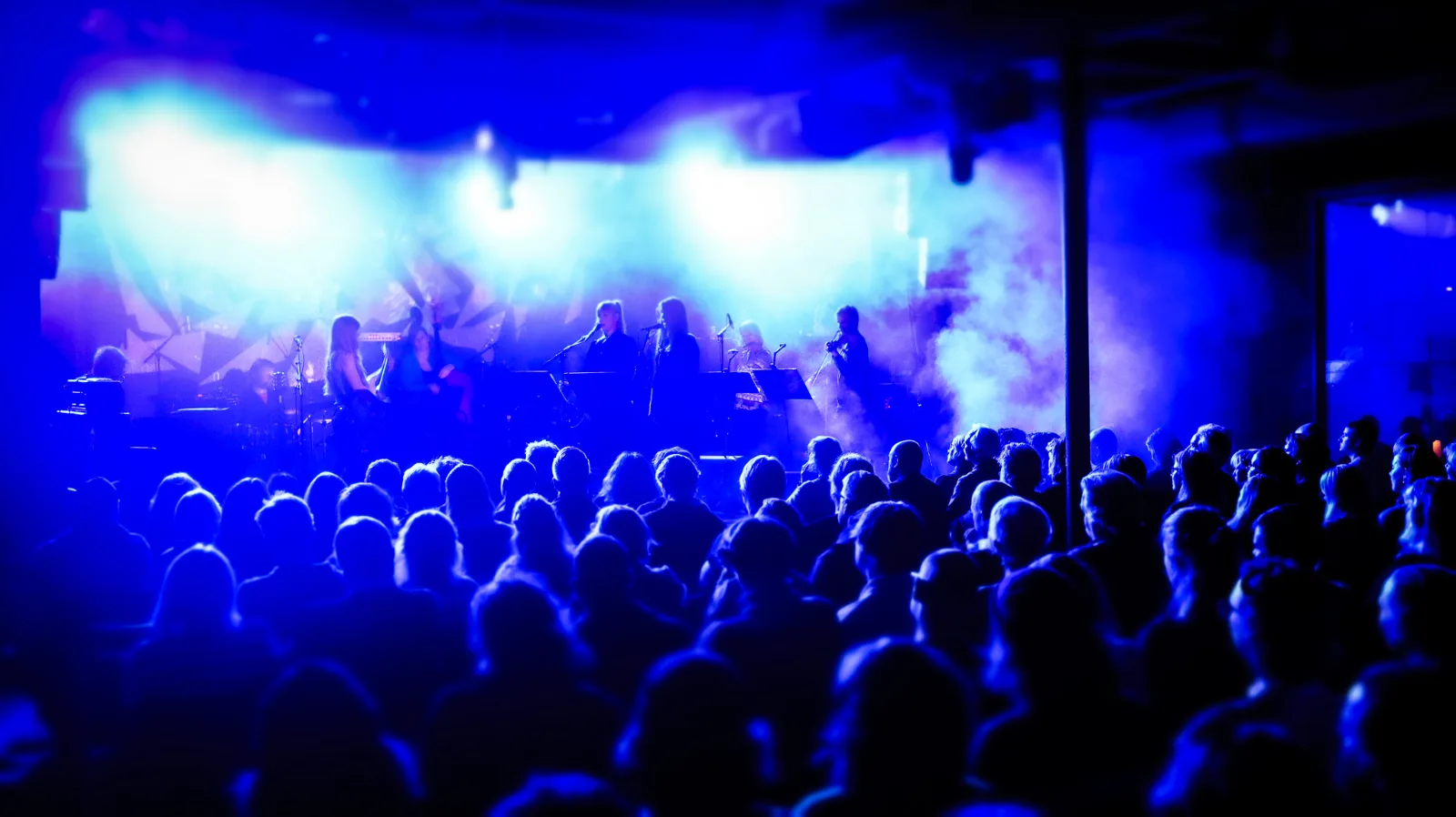 Dokkhuset 20 år!