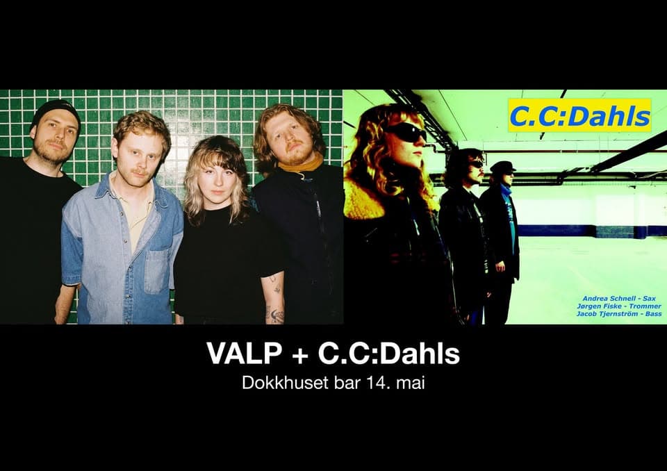 VALP + CC Dahls
