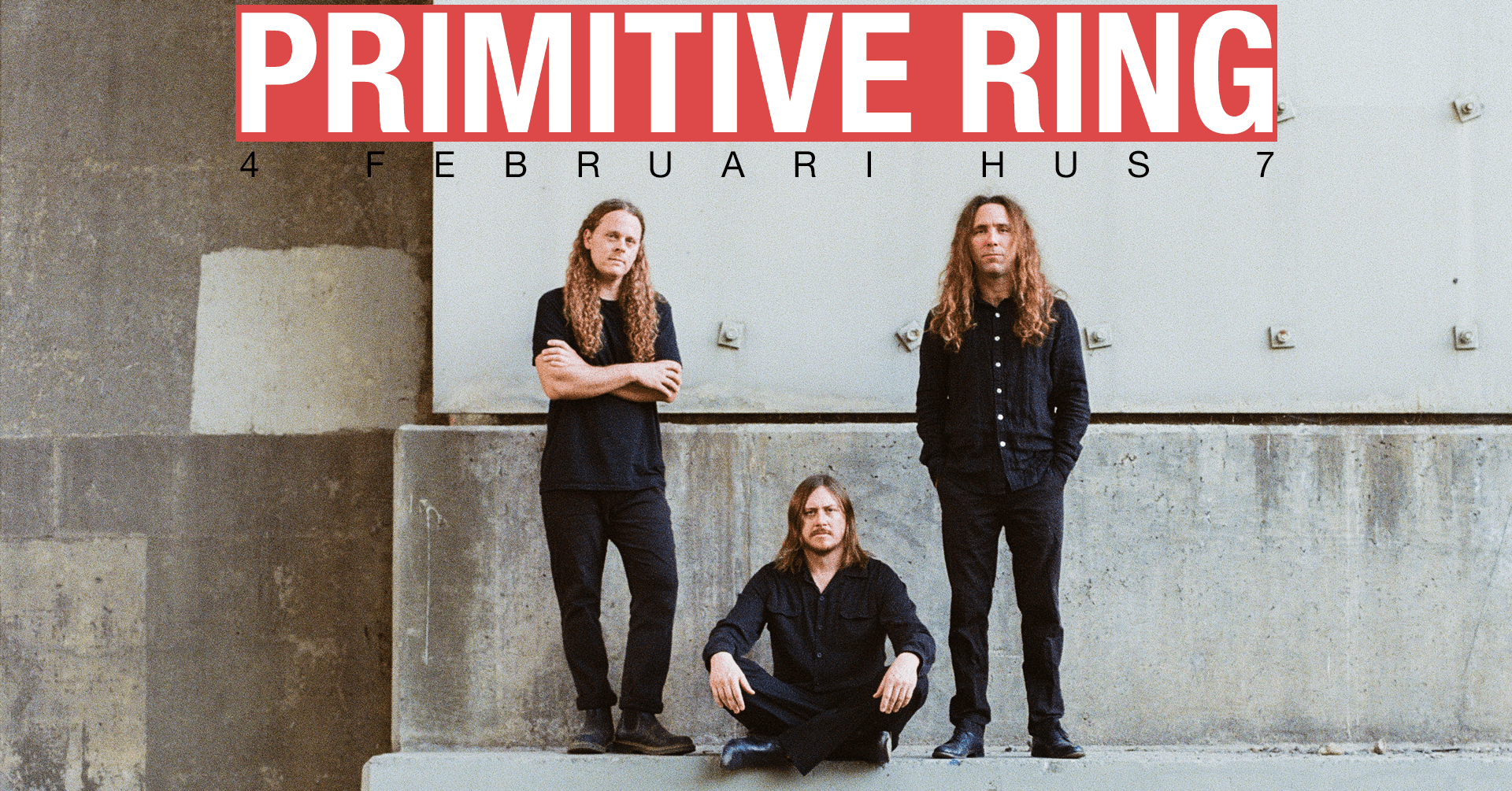 Primitive Ring
