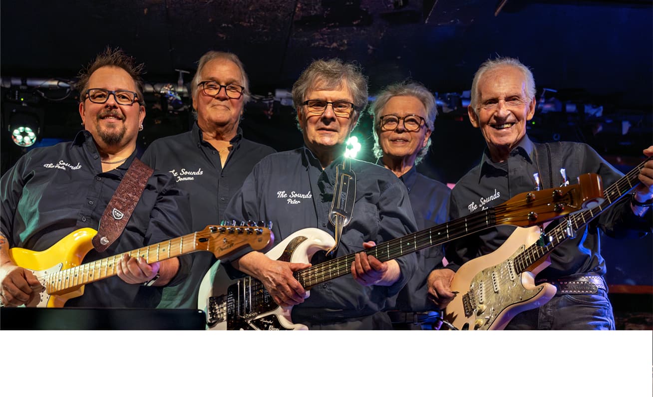 Back To The Sixties Club: The Sounds