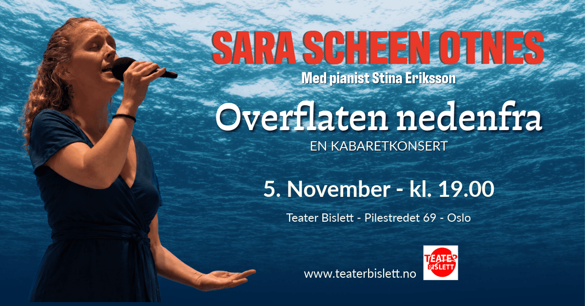 Sara Scheen Otnes: Overflaten nedenfra